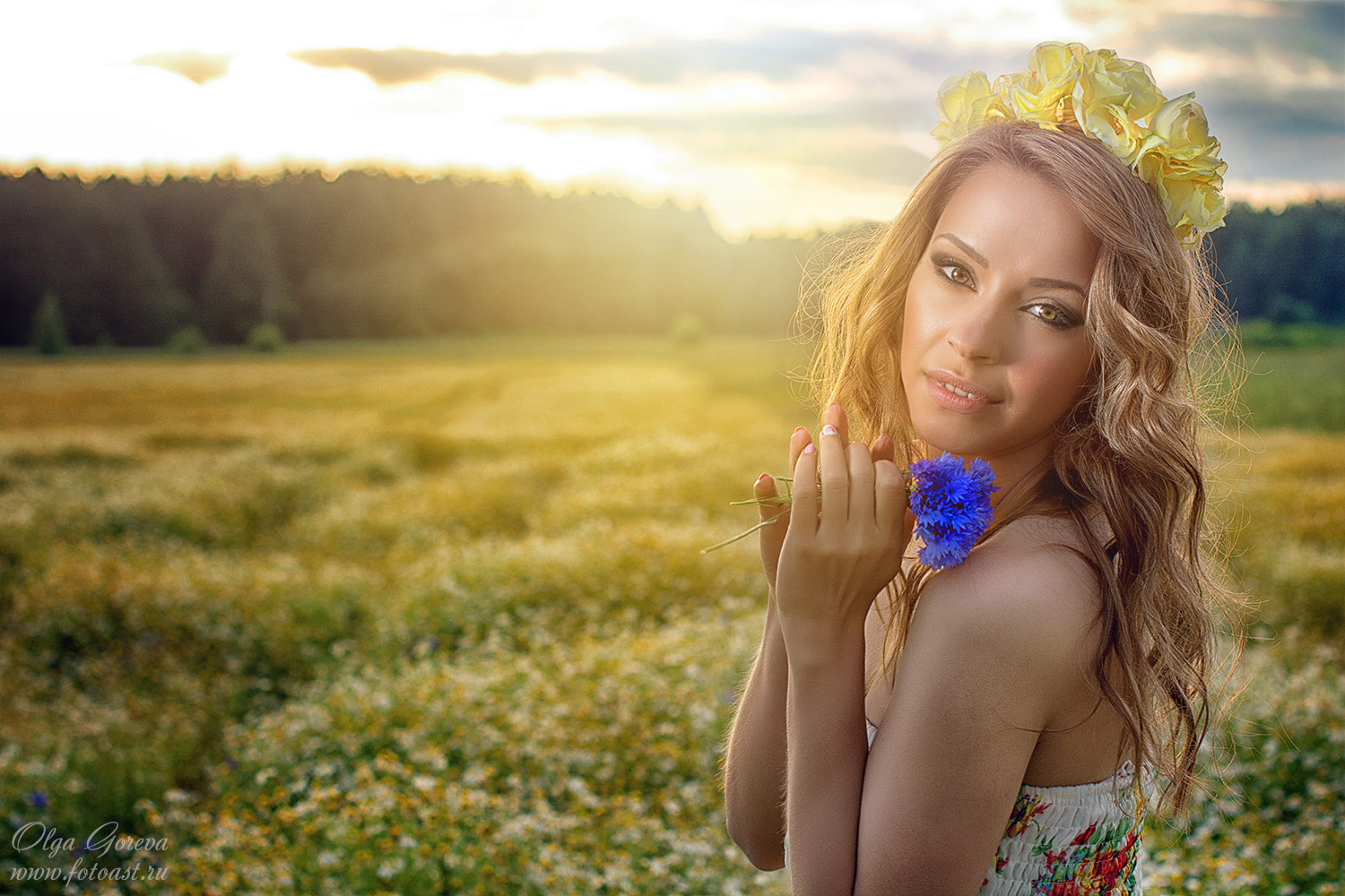 Фотосессия на ромашковом поле, услуги фотографа в Кирове