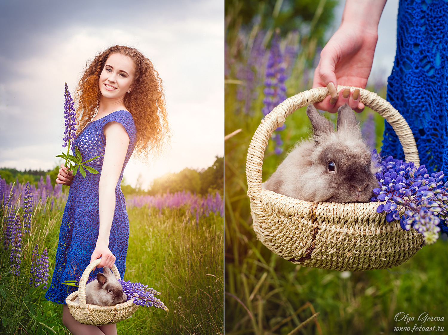 Фотосессия в поле люпинов с кроликом и девушкой